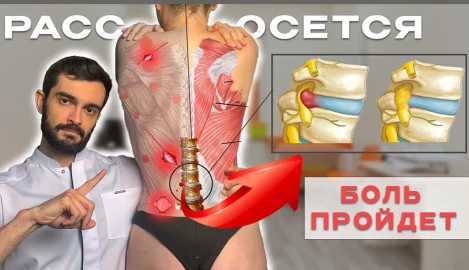 [Андрей Павлов] Фундамент здоровья (2024)_0.png